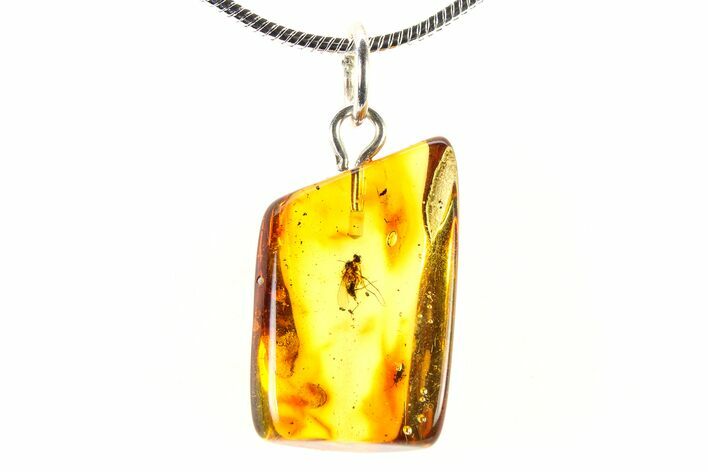 Polished Baltic Amber Pendant (Necklace) - Contains Fly! #321243